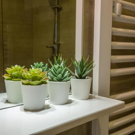 Thomas Apartmán Bělehrad